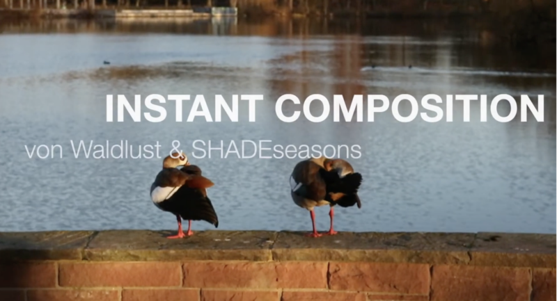 Instant Composition mit Waldlust